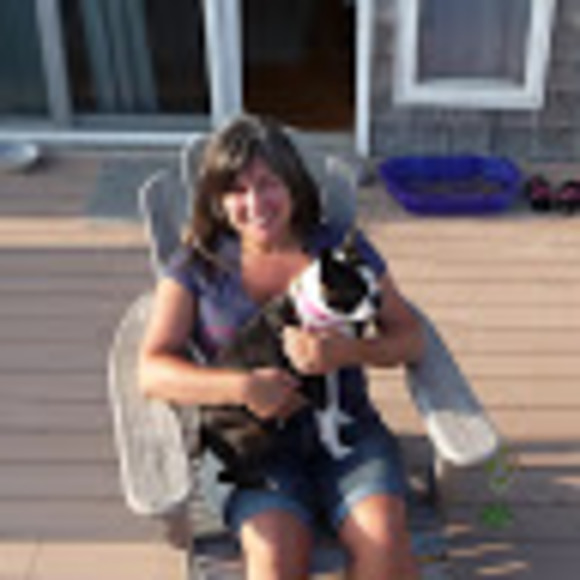 bostonbullys1